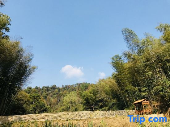 Homesick countryside