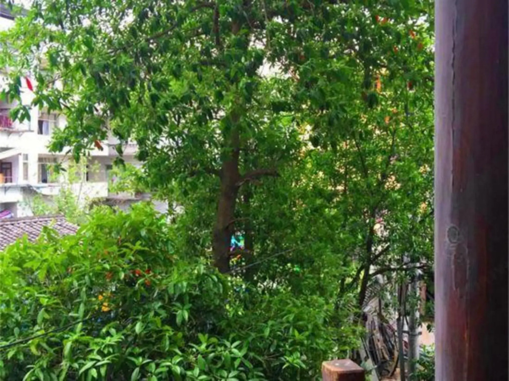 Nanxijiang Jintai Hotel