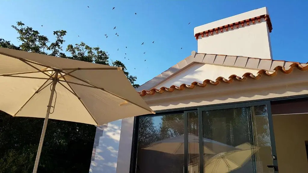 Casas Do Contrabando