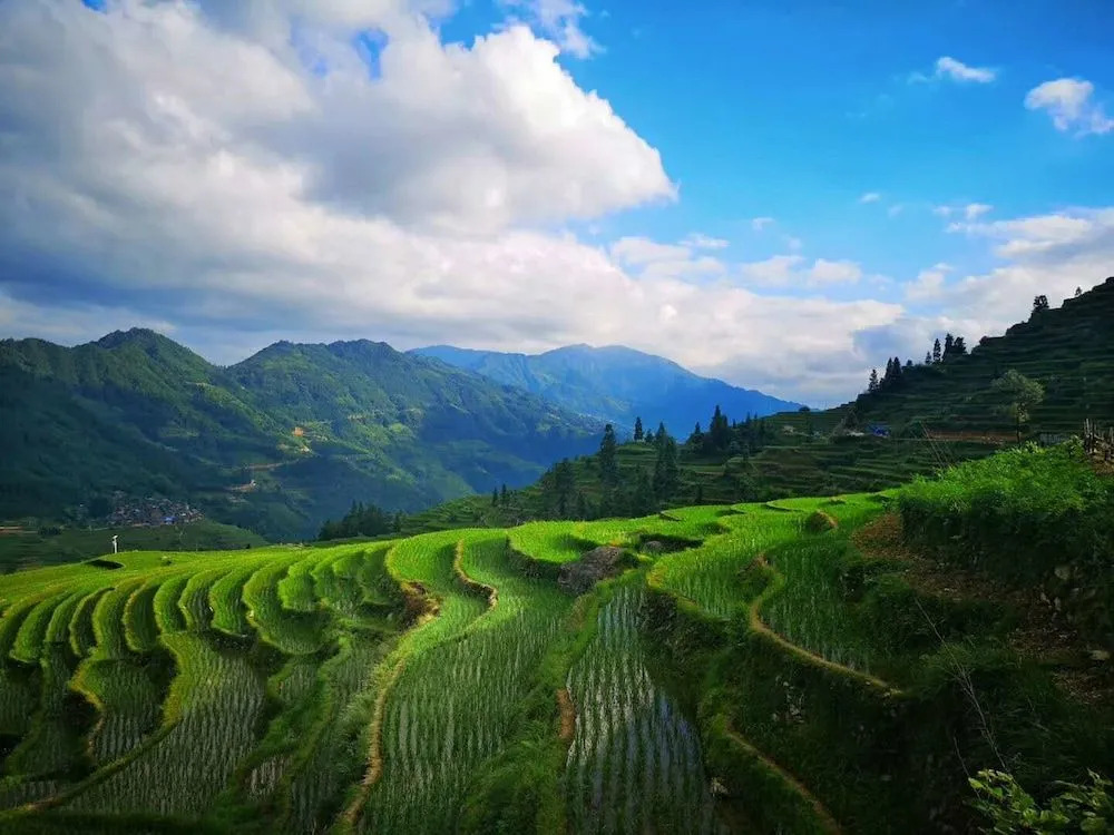 Terraces Homestead Resort Longji