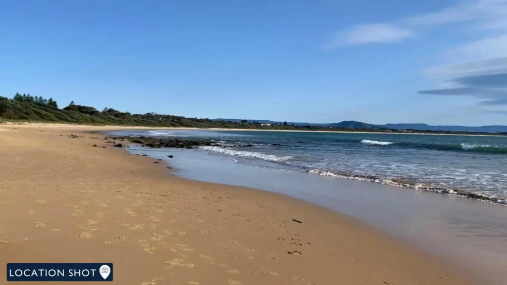 The Penguins Head - across from the beach
