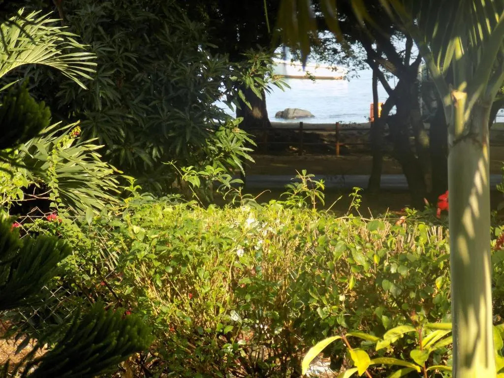 Villa Osumare Rootsy Beach front Guest House B&B