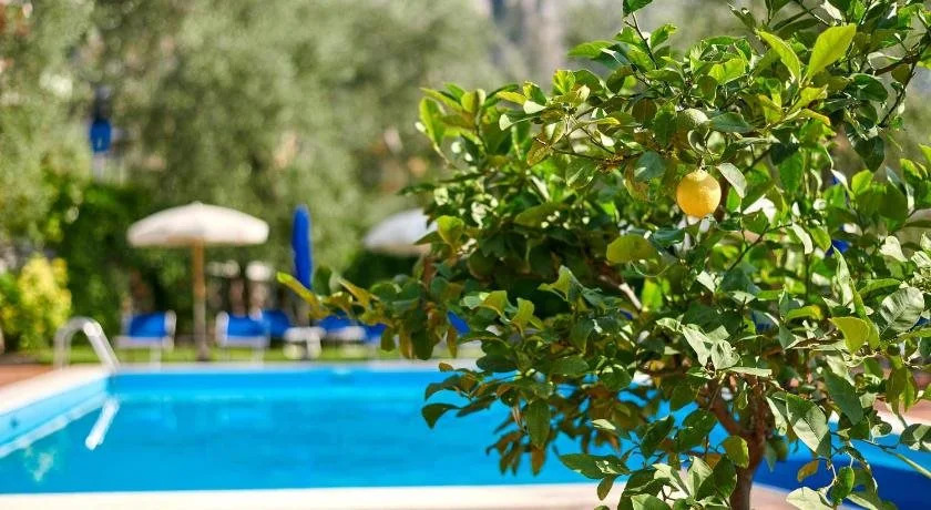Hotel Rosemarie