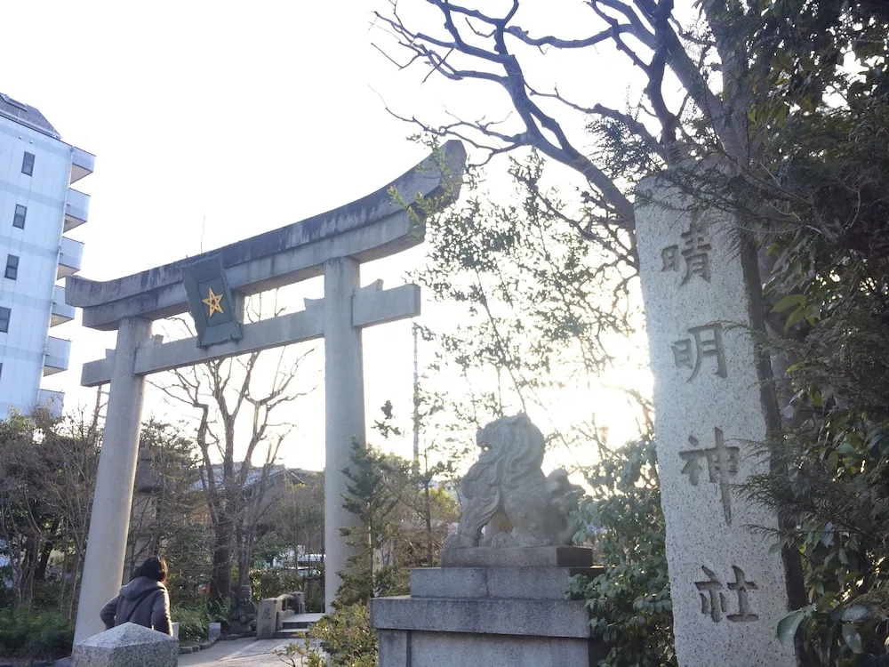 Nishijin Ivy