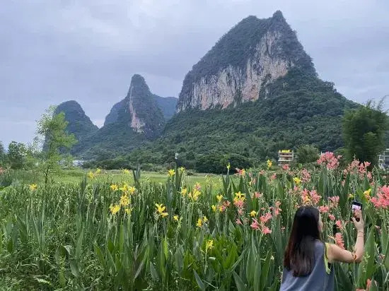 Ala Homestay (Yulonghe Branch)