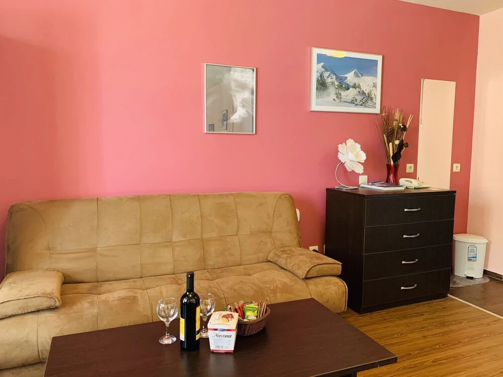 Beautiful Cosy Studio Apartment in Bansko