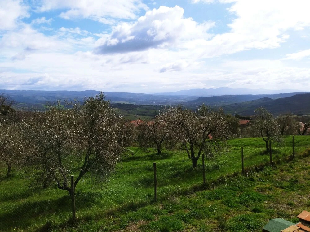 Podere del Papa