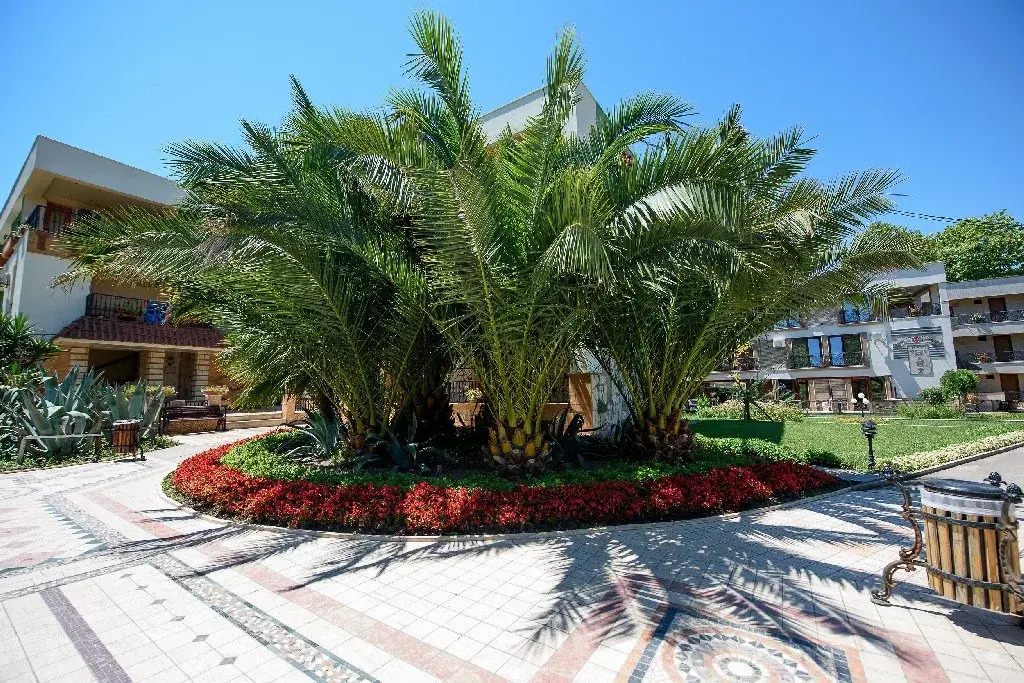Hotel Iris-Mimoza