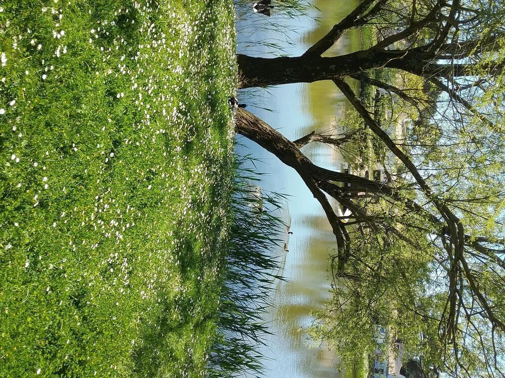Small house between lake and sea