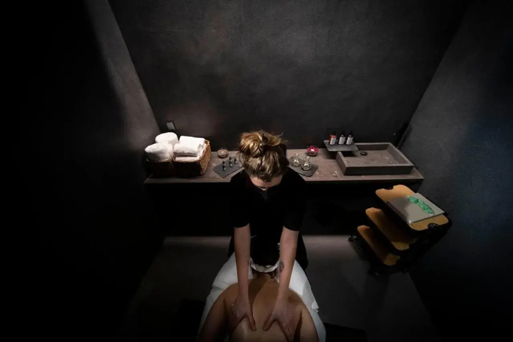 Les Pardines 1819 Mountain suites & SPA