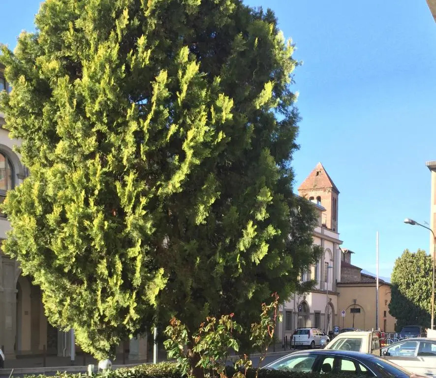 San Donato Flat