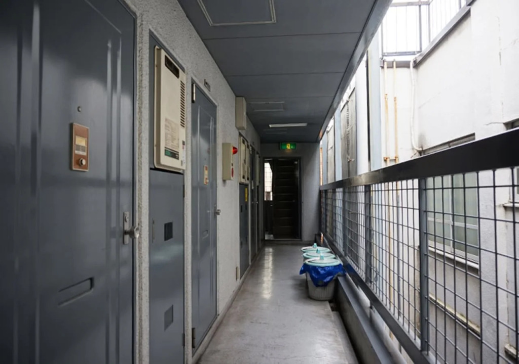 Daily Apartment House Gojo Ivy