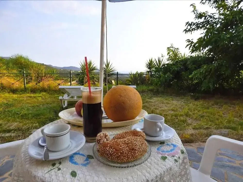 Garden Overlooking the Sea Near the Beaches
