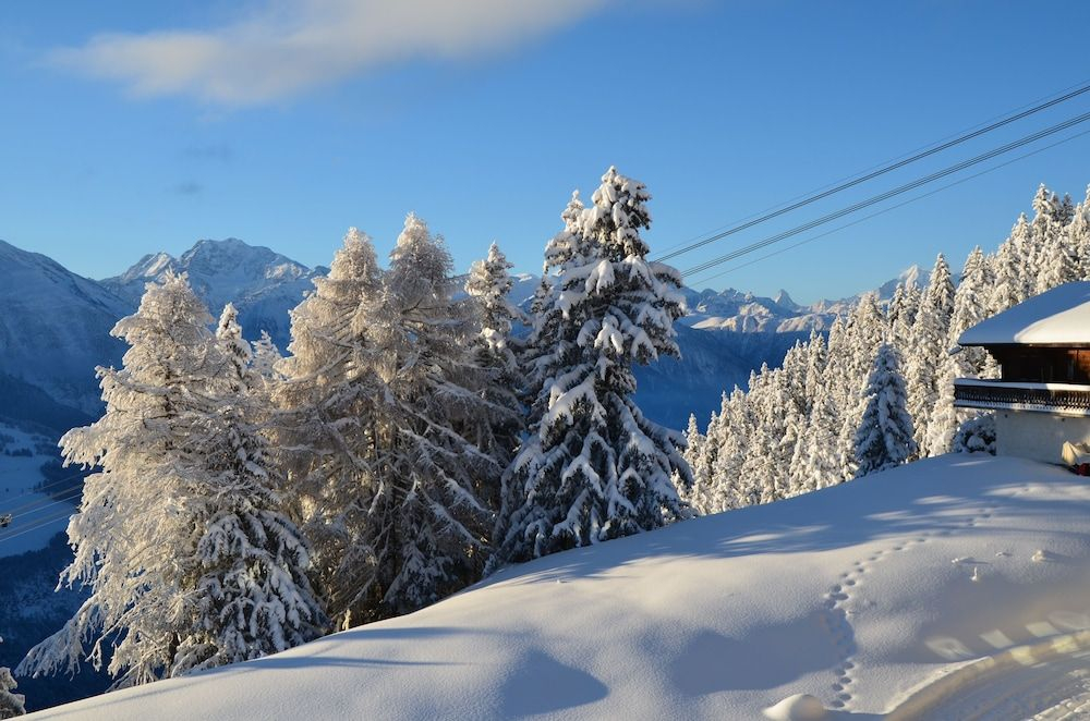 Alpenglück 43