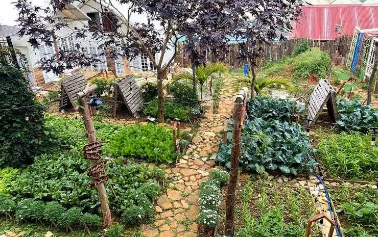 The Burrow Dalat