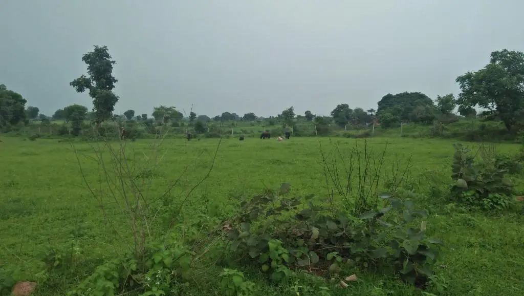 Prem Home Stay