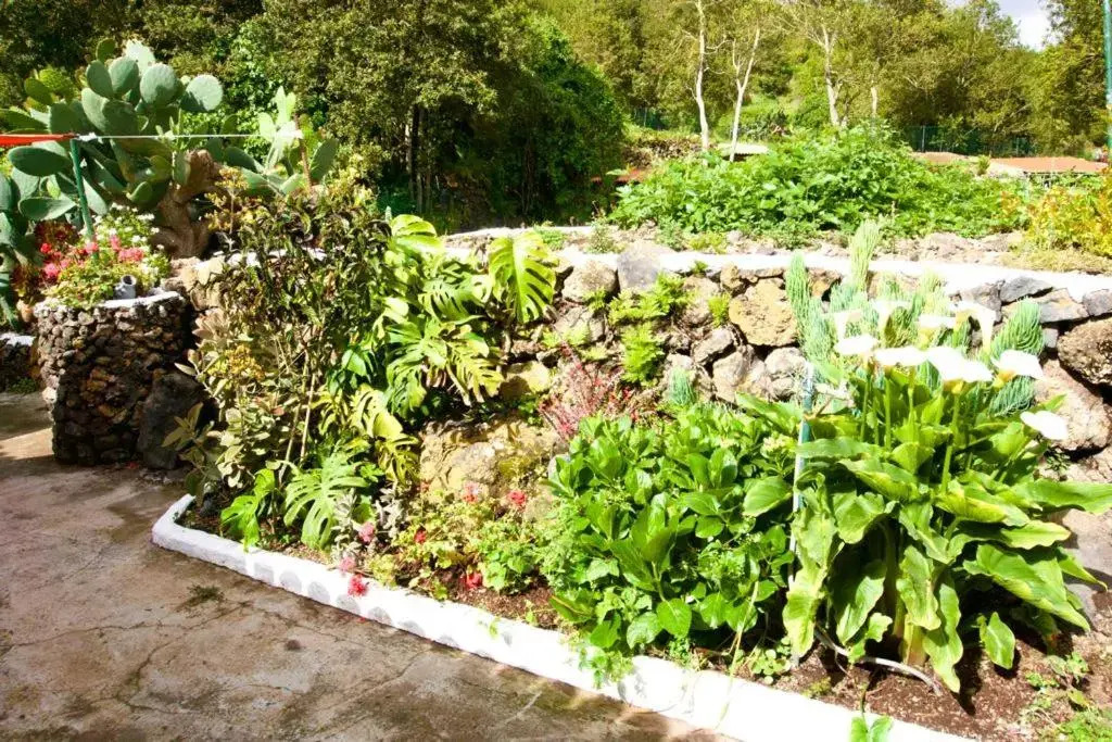 Vega Rural Garachico