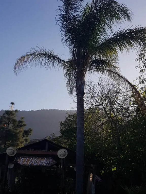 Finca la Raya