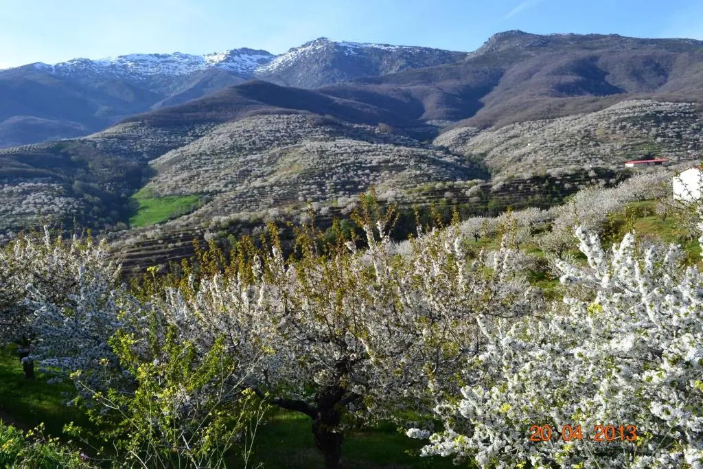 Senderos del Jerte