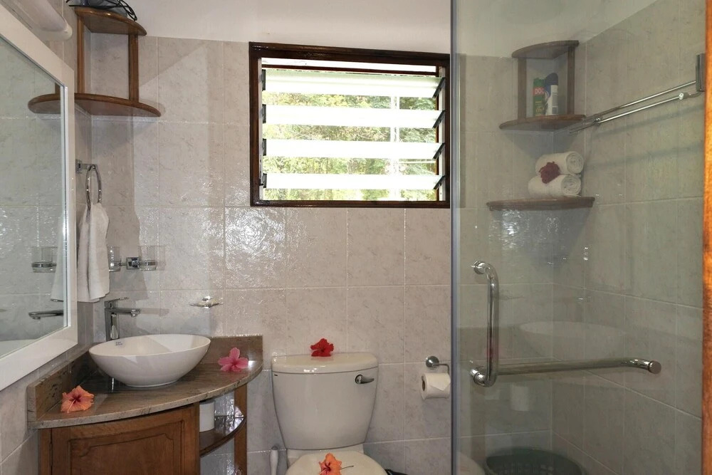 Studio in Mahe, With Wonderful sea View, Furnished Terrace and Wifi -