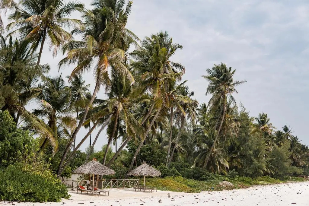 KIMA Serviced Beach House & Suites
