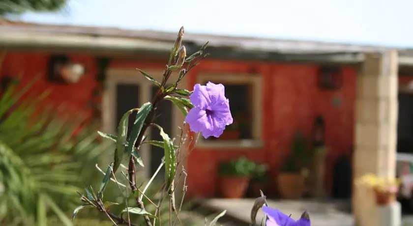 Romantico Cottage Con Piscina In Masseria Del 400