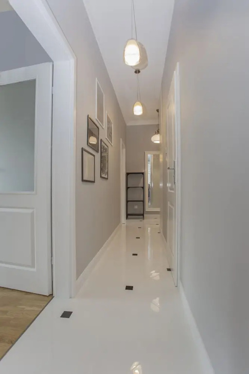 Apartament w Śródmieściu Sienkiewicza 1