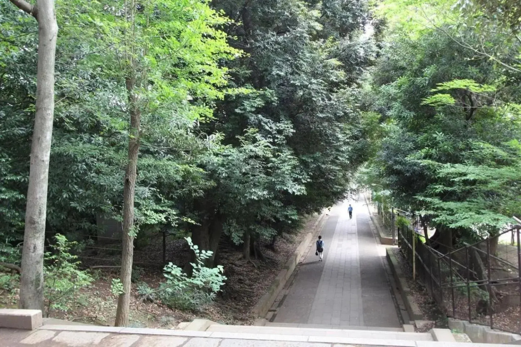 Shibuya-ku - Apartment / Vacation STAY 1103