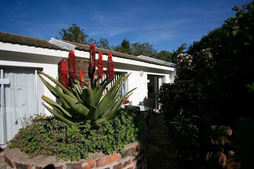Clouds Guest House