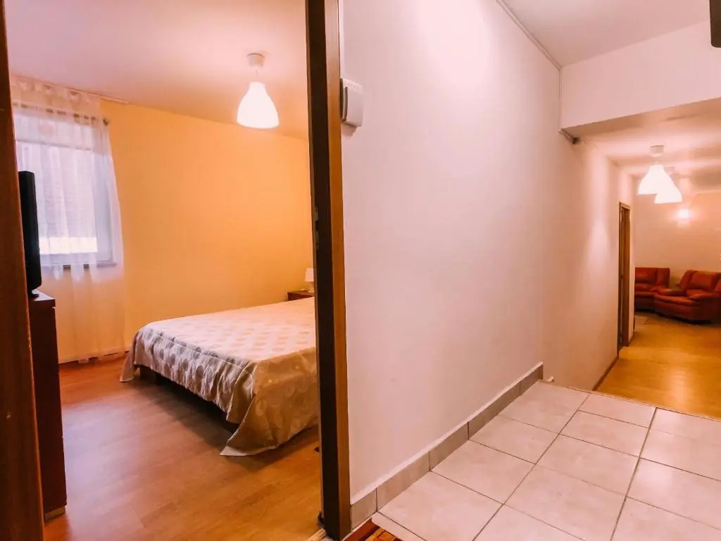 Spacious Apartment near Peles