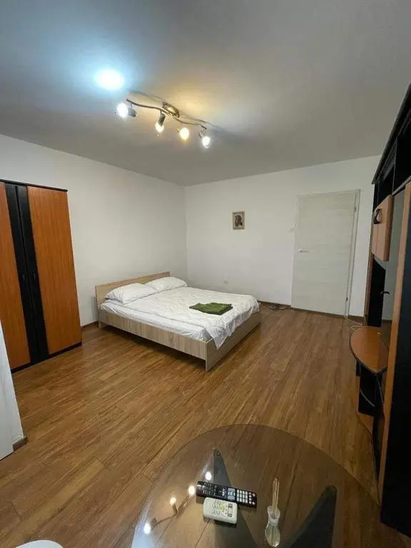 Bega Circumvalatiunii 1 Room Apartment - 3