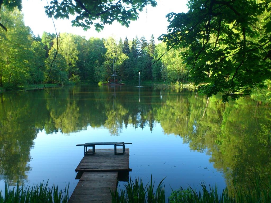Orbita-2