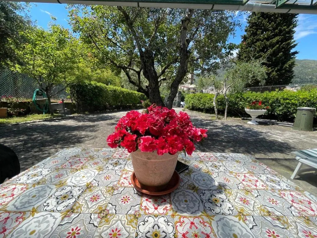 Blue Sky apartment - Levanto, 5 Terre