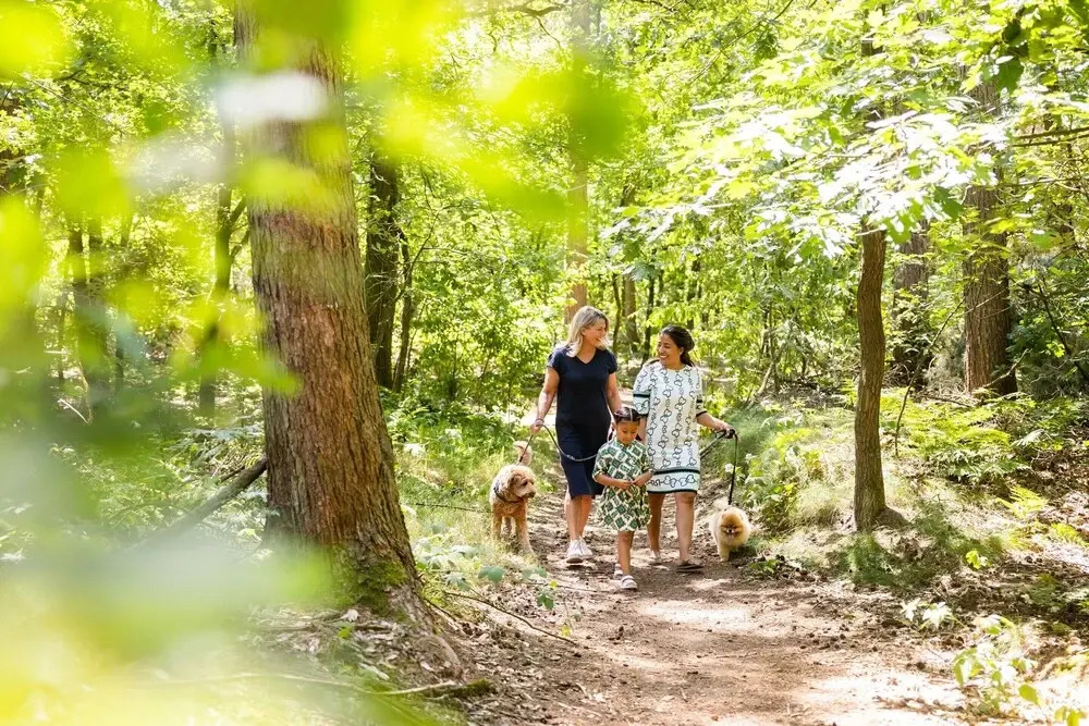 Peaceful Stay Near Trails