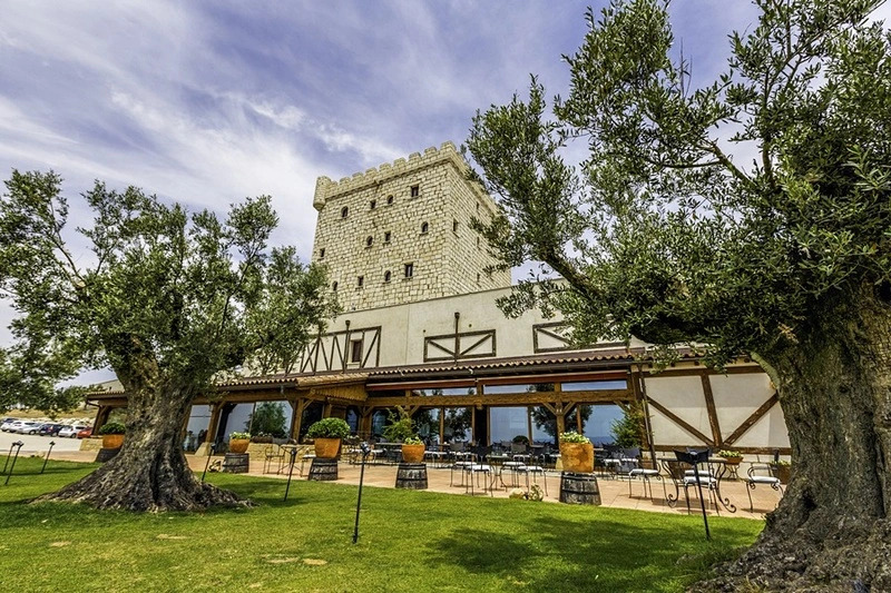 Hotel Pago De Cirsus
