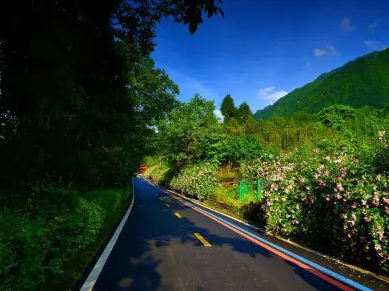 Youyang Meiju Homestay