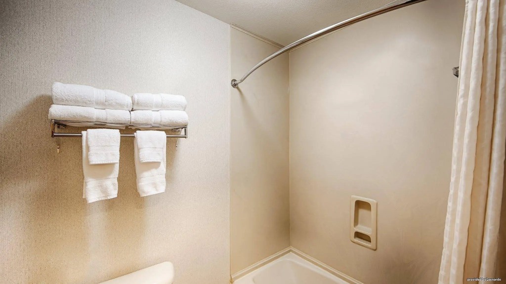 Best Western Dallas Inn & Suites