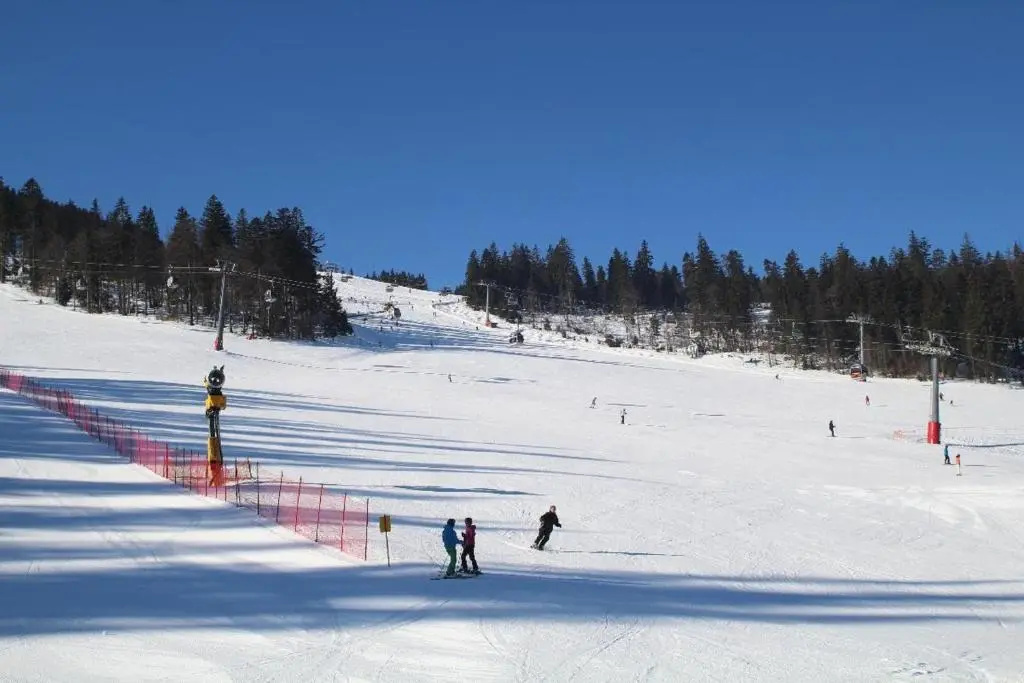 Ferienwohnungen Holzferienhäuser Leithenwald