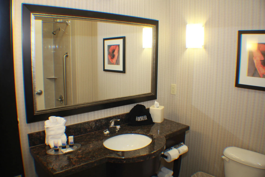 Best Western Plus DFW Airport West Euless