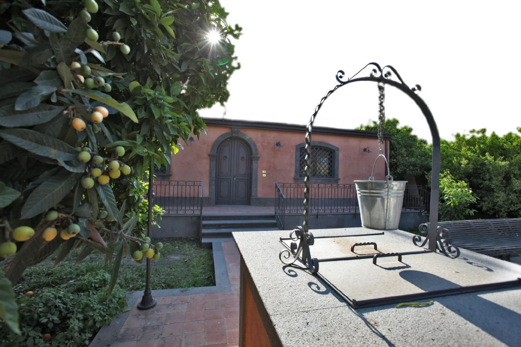 The Garden in the City Center