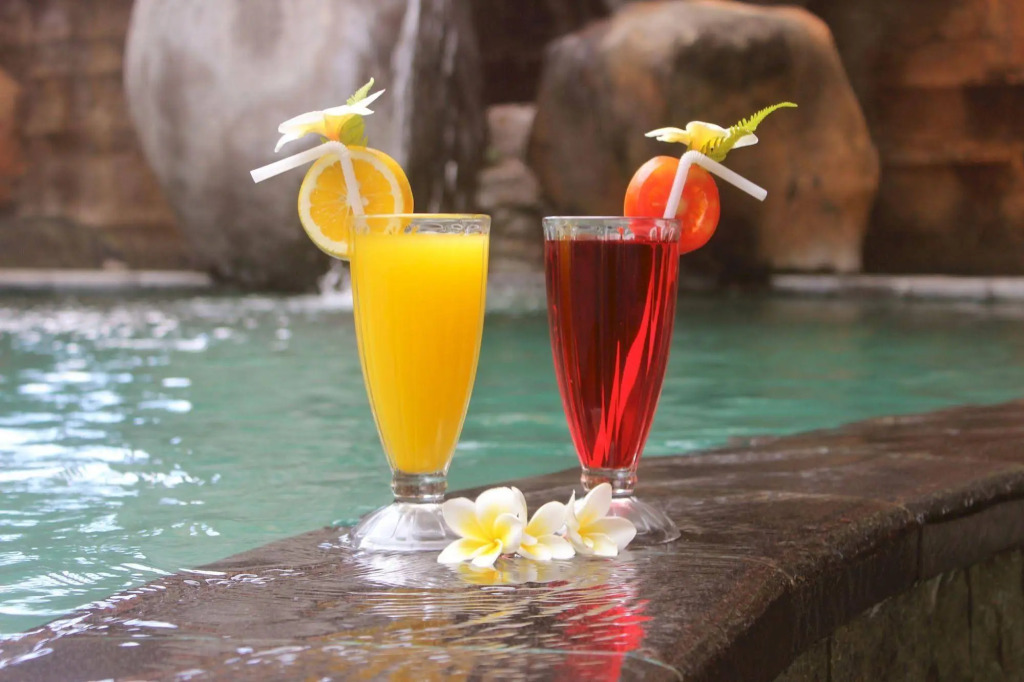 Hotel Chonos