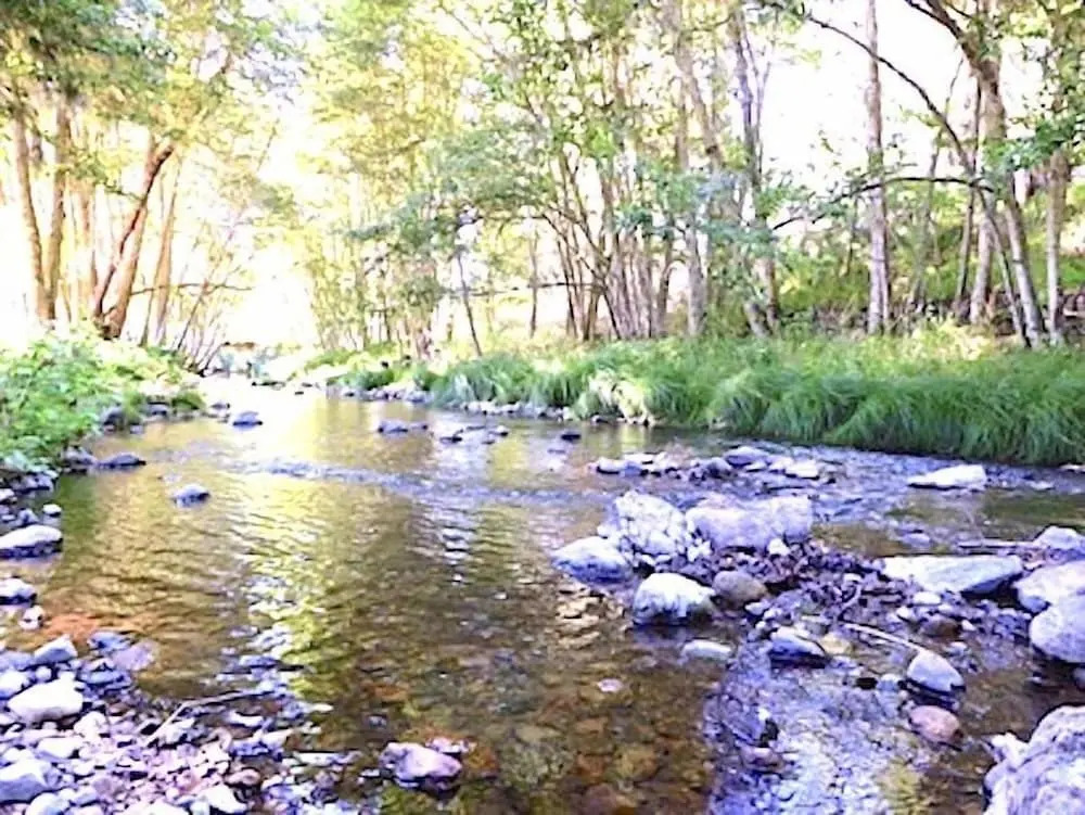 Mandala Springs