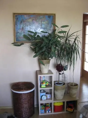 Bultu Apartaments
