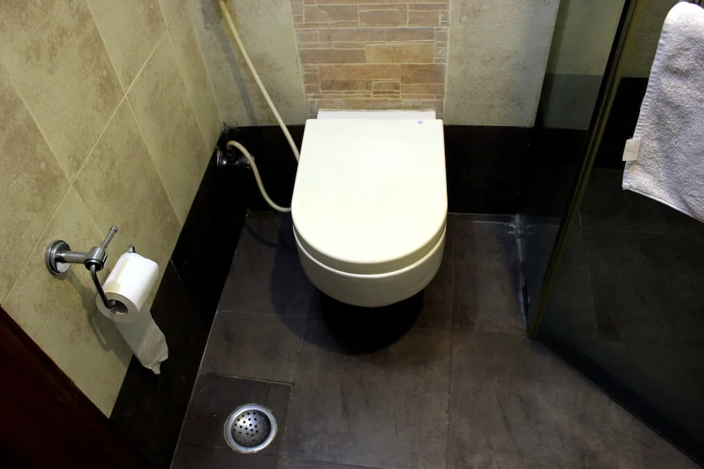 Hotel Palm Tree Palam Vihar