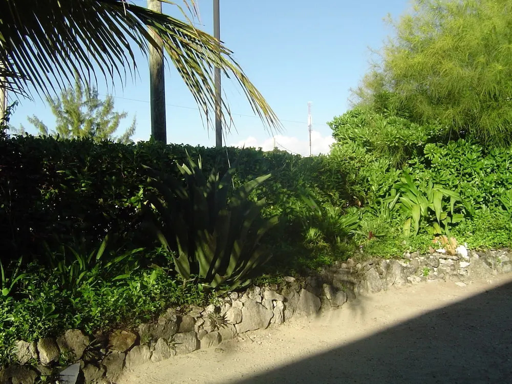 Silver Palm Guest House Turks and Caicos