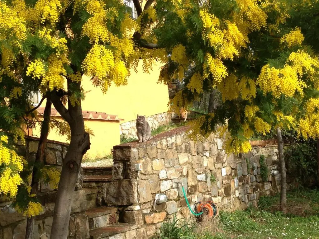Il Casalone