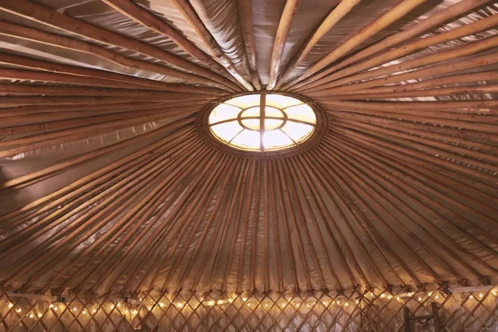 Mushroom Yurt