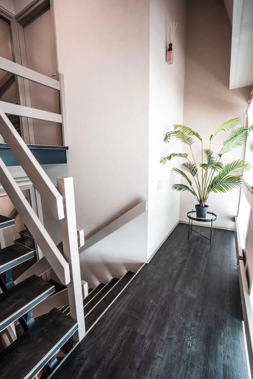 The Jungle Loft