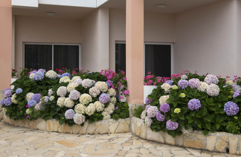 Hotel Puerto Palace