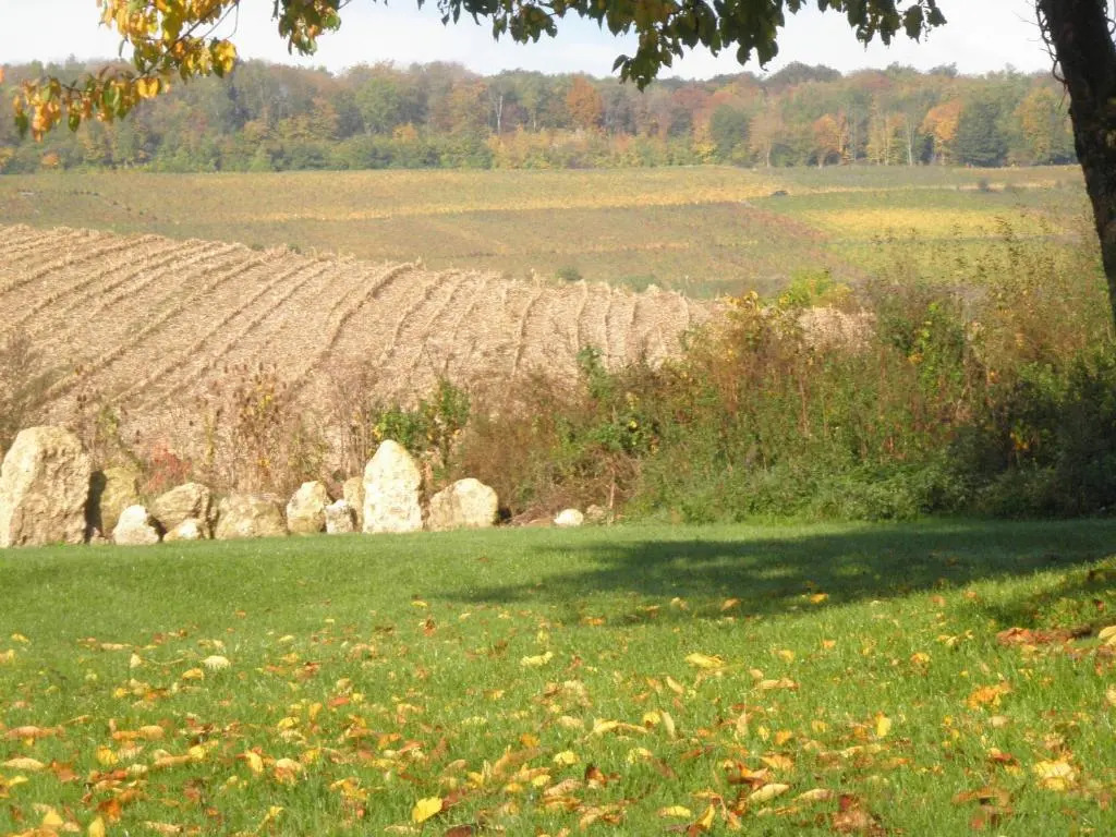 Domaine du Moulin de lEtang